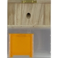 Bees N Things Carpenter Bee Trap BEES-STND
